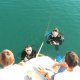 34- Operation passerelle 